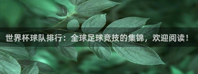 世界杯预选赛规则:世界杯球队排行:全球足球竞技的集锦,欢迎阅读!