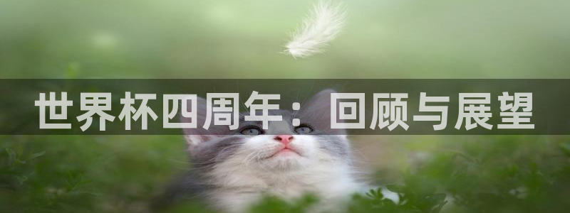 世预赛欧洲赛程表:世界杯四周年:回顾与展望