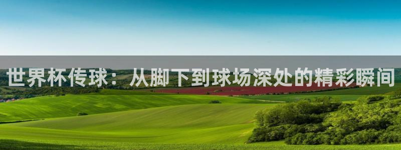欧洲世预赛赛程表:世界杯传球:从脚下到球场深处的精彩瞬间