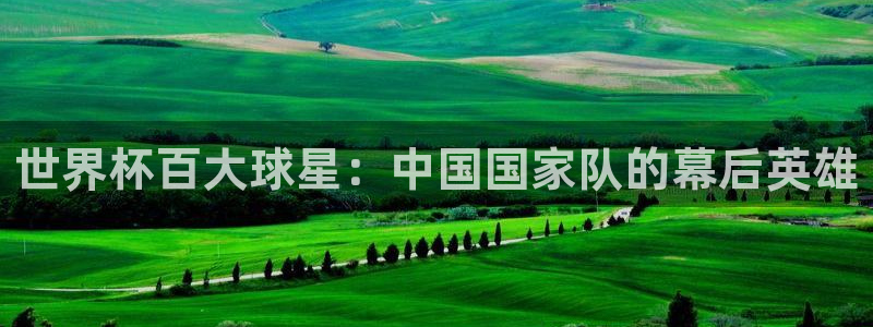 2026世界杯足球赛程时间表:世界杯百大球星:中国国家队的幕后英雄