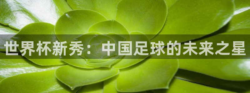 世界杯比赛时间:世界杯新秀:中国足球的未来之星