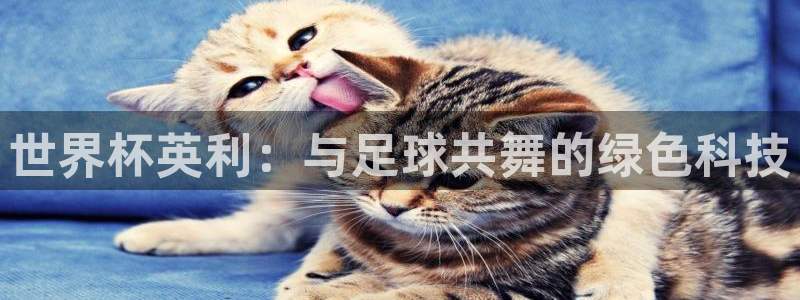 欧洲区世界杯预选赛:世界杯英利:与足球共舞的绿色科技