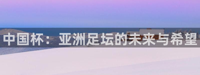 2026世界杯中国队:中国杯:亚洲足坛的未来与希望