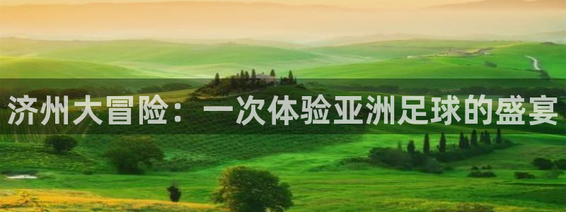欧洲世界杯预选赛赛程:济州大冒险:一次体验亚洲足球的盛宴