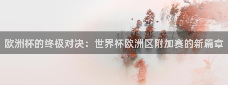 世界杯比赛直播:欧洲杯的终极对决:世界杯欧洲区附加赛的新篇章