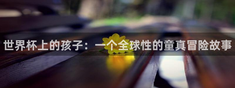 世界杯足球比赛:世界杯上的孩子:一个全球性的童真冒险故事